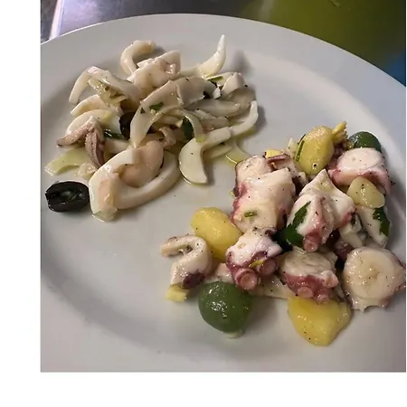 Il Gabbiano Sanza